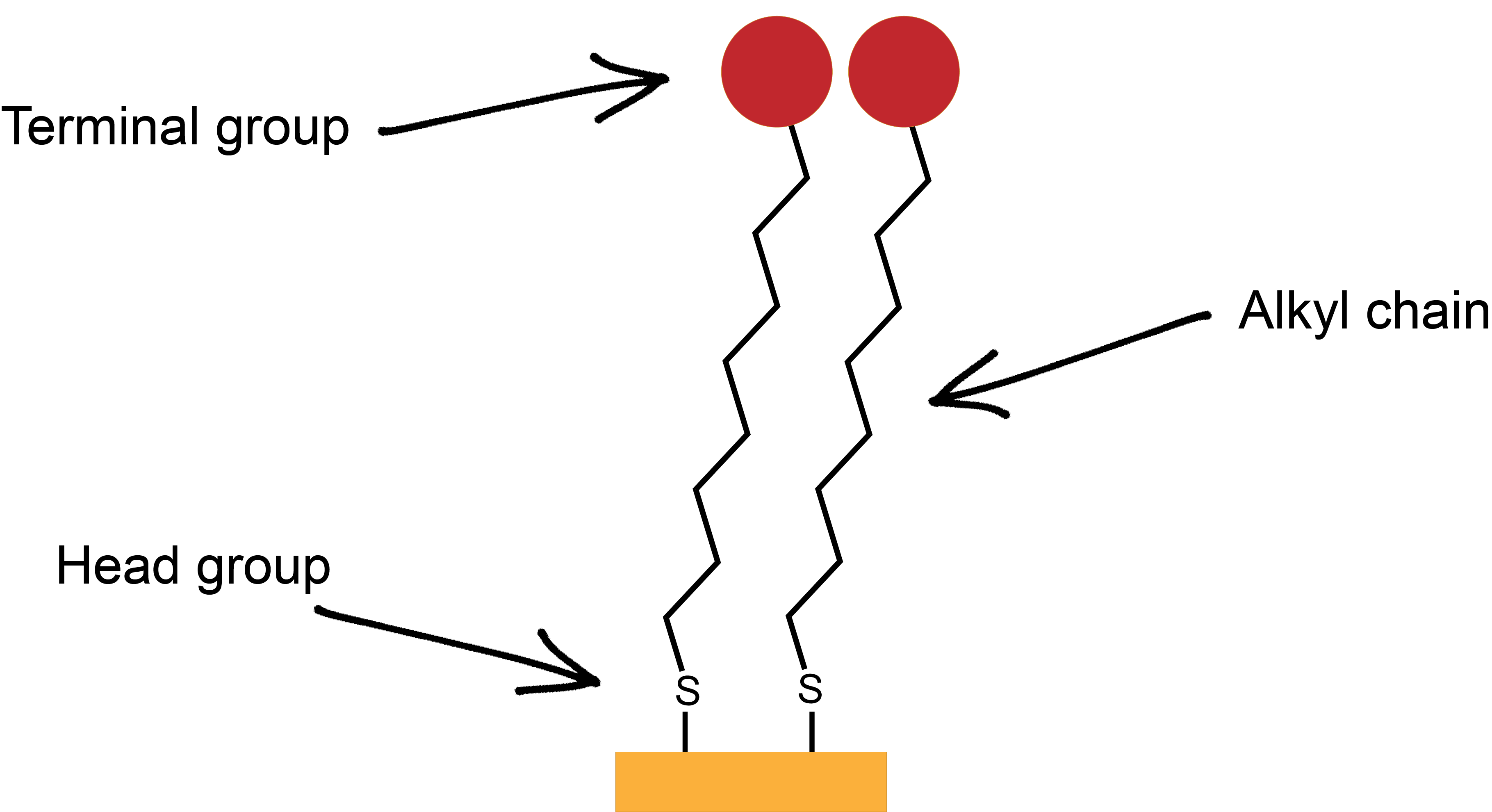 Research - Thompson Lab